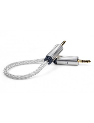 IFI-AUDIO 4.4 to 4.4 CABLE 0.3MT