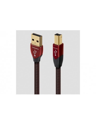 AUDIOQUEST CINNAMON USB A- B