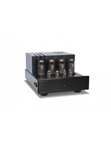 PRIMALUNA EVO 100 POWER AMPLIFIER