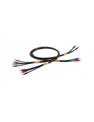 VDH THE SUPERNOVA (PVC FREE) BIWIRING 3M